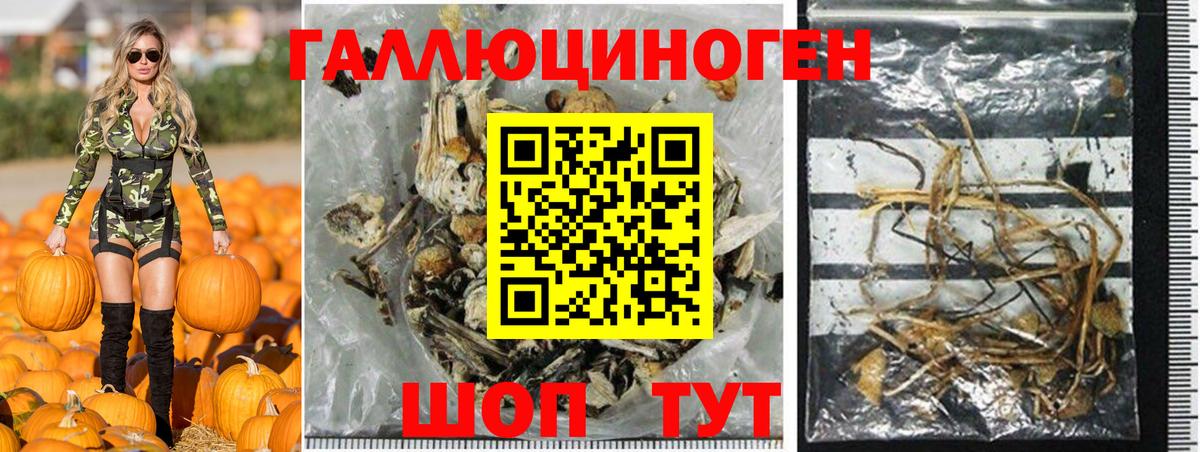 Галлюциногенные грибы мицелий Магнитогорск