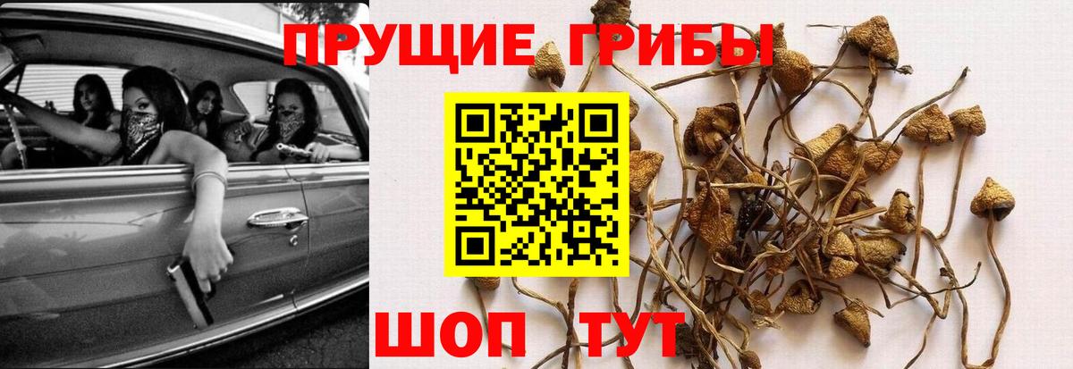 Магнитогорск  Псилоцибиновые грибы MAGIC MUSHROOMS  Вход с VPN 